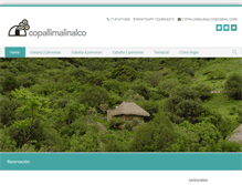 Tablet Screenshot of copallimalinalco.com